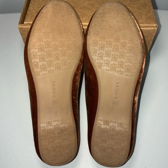 Birdies The Starling Flats in Amber Velvet Shoes - Picture 8 of 9